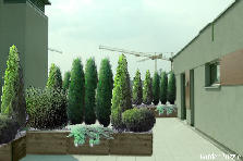 Projekt ogrodu: (projekt prywatny) Projekt ogrodu:gerung prywatny 17.05