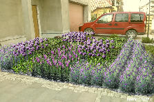 Projekt ogrodu: (projekt prywatny) Projekt ogrodu:Pecyna koncepcja 1