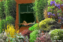 Projekt ogrodu: Projekt ogrodu:window of relaXXX :-))