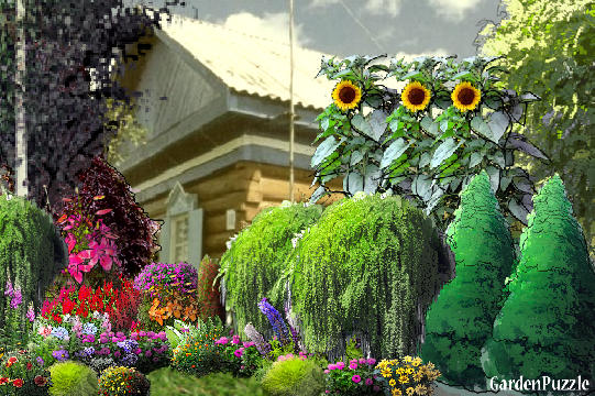 Projekt ogrodu::))) - Lato