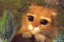 Projekt ogrodu:na poprzednim projekcie zostawiłam dla was list Projekt ogrodu:GDZIE DALEJ.....