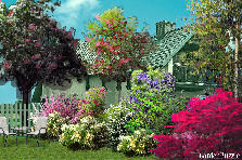 *****^^^^**** - Wiosna