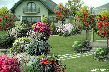 Projekt ogrodu:Dziekuje za to tło...projekty Agnieszki i Lanki bardzo mi ise podobaja..tez chciałam spróbować.... Projekt ogrodu: W ELEGANCKIM OGRODZIE..