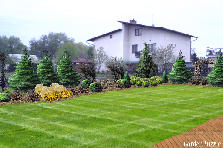 Projekt ogrodu: (projekt prywatny) Projekt ogrodu:morcinka-tył2