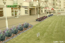 Projekt ogrodu:jhjkj