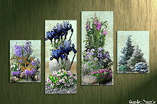 Projekt ogrodu: Projekt ogrodu:NATURA W OBRAZACH