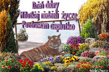 Projekt ogrodu:.....WITAM GARDENOWICZÓW....
