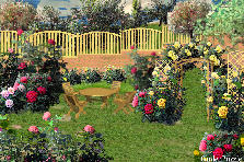 Projekt ogrodu:Witam póznym wieczorem. Projekt ogrodu:RÓŻANNY OGRÓDEK