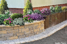 Projekt ogrodu:...()()()()...