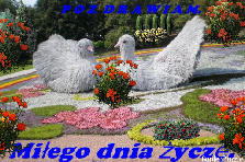 Projekt ogrodu: Projekt ogrodu:Witam