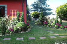WITAM - Wiosna