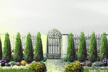 Projekt ogrodu:Kolejny pomysł na aranżację wejścia do domu, żywotniki już rosną a reszta do zasadzenia :) Czy to dobry pomysł? Nie mam pojęcia! :) Projekt ogrodu:Przed domem - wejście 1
