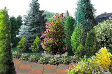Projekt ogrodu:...gggoossiiaaa11...prosiła aby je wrzucić na garden....czynie to z przyjemnością...nie co pózniej będę miała więcej czasu aby cośi zaprojektować na tym tle....pozdrawiam i miłego dnia... Projekt ogrodu:MÓJ POMYSŁ