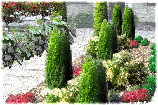 Koncepcja ogrodu - CZERWONO-BIAŁA KOMPOZYCJA....