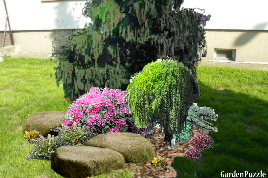 Koncepcja ogrodu - MOJA PROZYCJA...