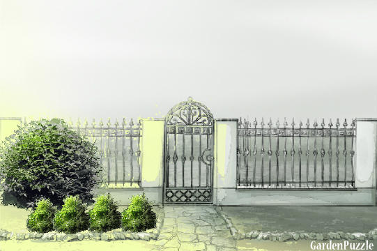 Koncepcja ogrodu - garten